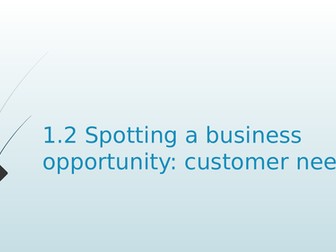 Topic 1.2 Spotting a business opportunity