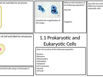 Prokaryotic and Eukaryotic Cells Revision Mat