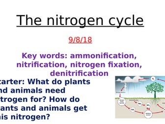 The nitrogen cycle- A level Biology