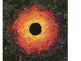 Andy Goldsworthy Land Art