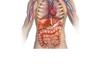 Health and social care. Level 3 Anatomy and physiology unit 3 booklet.