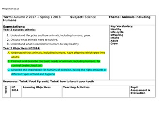 Year 2 Animals including Humans MTP 7 weeks planning