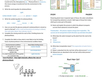 Biology edexcel paper 2 complete revision | Teaching Resources