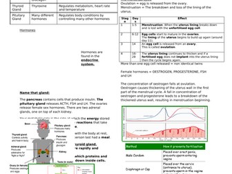 Biology edexcel paper 2 complete revision by simongallagher - Teaching ...