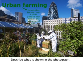 Sustainable Food Production