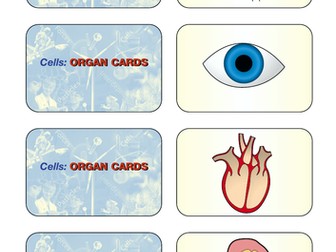 Cells Organs Cards KS3 Science