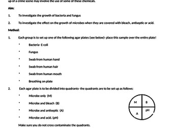 Forensics- investigating bacteria and fungi