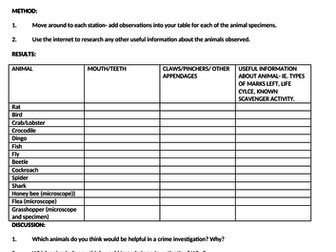 Forensic- animal activity at a crime scene