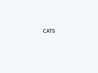 Unseen poetry analysis based on the 2017 EDEXCEL poem Cats