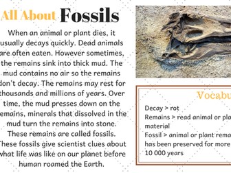 Fossils Fun Facts