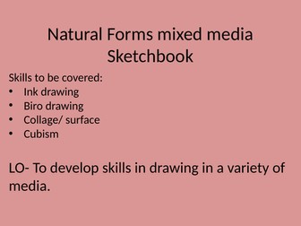 Cubism unit of work in a powerpoint