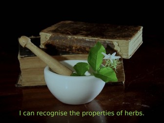 Properties of herbs in medieval medicine