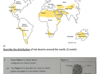 KS3 Ecosystems and hot desert assessment
