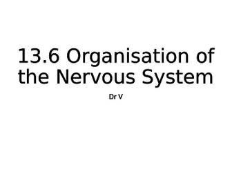 Organisation of the nervous system Chapter 13.6 OCR Biology GCE