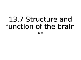 Structure and function of the brain chapter 13.7 OCR Biology A GCE