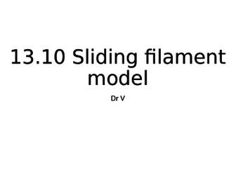 Sliding filament model chapter 13.10 OCR Biology A GCE