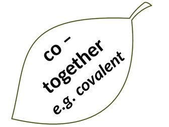 Science Wood Root Display