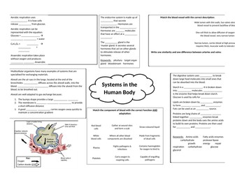 Systems in the human body (learning mat)