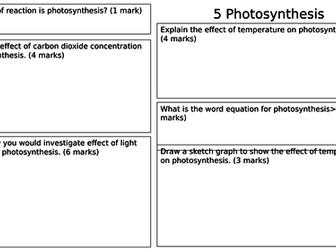 Photosynthesis Revision Mat