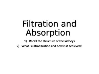 Renal Function Lessons