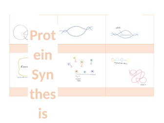 Protein Synthesis Comic Strip Diagram