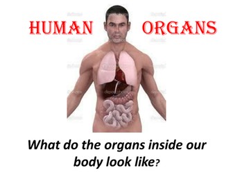 Research human organs with question sheet