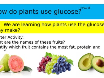 B8.3 How plants use glucose