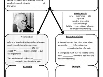 cognitive accommodation