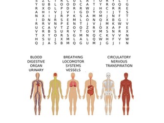 Organ Systems Word Search