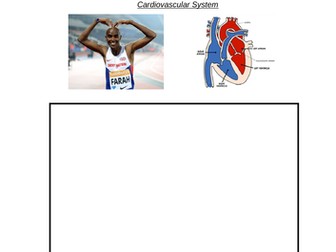 OCR GCSE PE