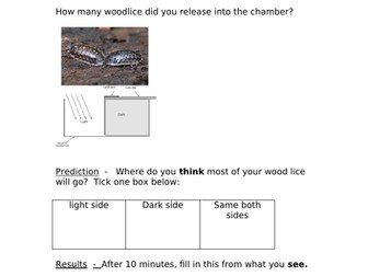 Woodlice habitat experiment