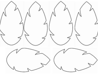 Sustainable management of the Amazon AQA