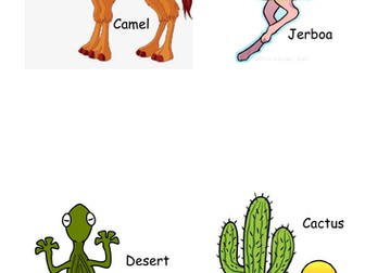 Plant and animal adaptations to desert