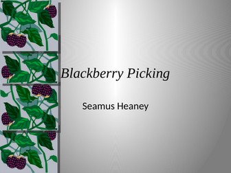 Junior Cert / GCSE Poetry Seamus Heaney Blackberry-Picking