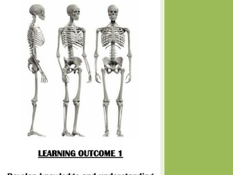 Level 1/2 Health and Fitness Skeletal System Unit of Work