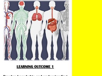 Level 1/2 Health and Fitness Respiratory System