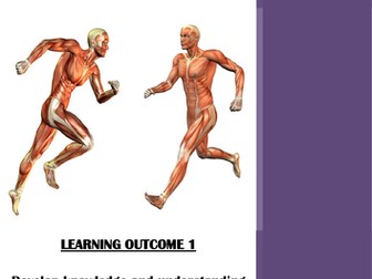 Level 1/2 Health and Fitness Muscular System