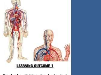 Level 1/2 Health and Fitness Cardiovascular System