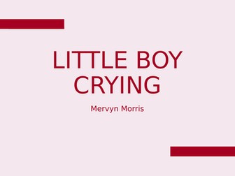 Little Boy Crying