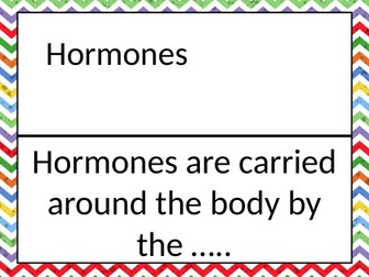 CB7 large dominoes combined science Edexcel