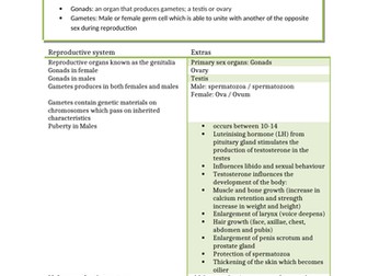 The reproductive system revision notes