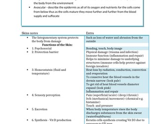 the integumentary system revision notes