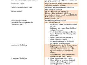 The urinary system (including UTI) notes