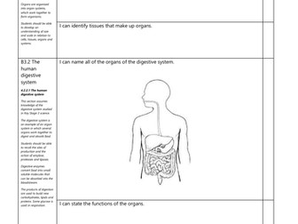 AQA Biology B3 Organisation and the digestive system Checklists for ...