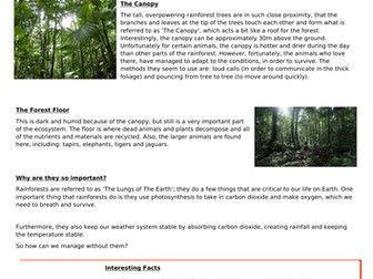 Rainforest WAGOLL Information Text