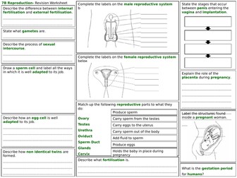 exploring science year 7 revision worksheets teaching