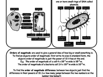 AQA GCSE Biology Paper 1 Revision Notes
