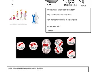 Mitosis and Meiosis Worksheet