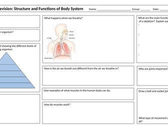 Year 7 Activate B2 Topic Revision Grid: Structure and Function of Body Systems
