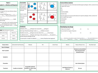 Infection and Response Revision Placemat